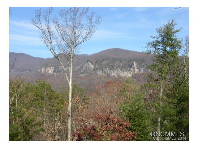1234 Laurel Lane - Photo 1