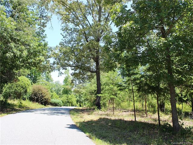LOT 28 Red Fox Circle - Photo 1