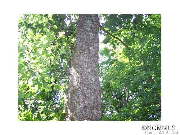 000 Muckle Cove Road - Photo 1