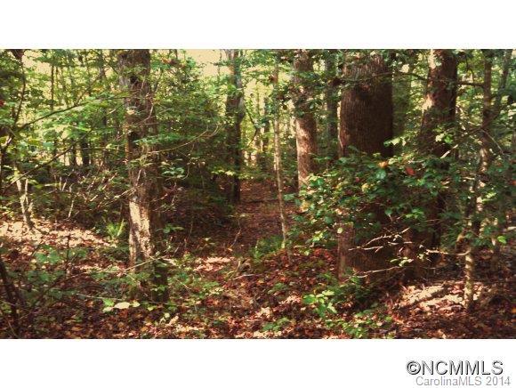 74 Buffalo Creek Road - Photo 1