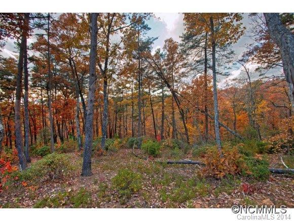Lot 241 Rock Ledge Drive - Photo 1