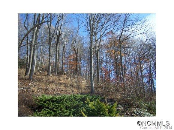 62&63 Turkey Run Drive - Photo 1