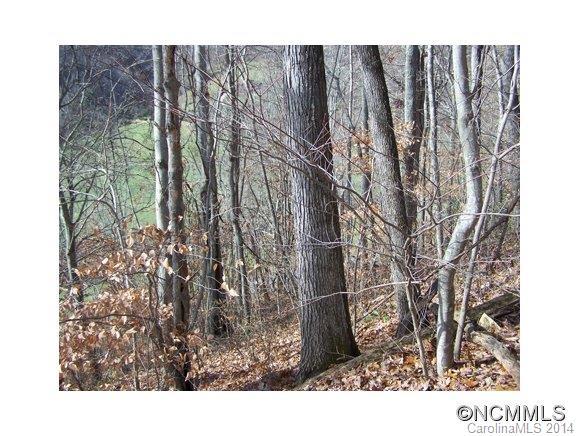61,62,63 Turkey Run Drive - Photo 1