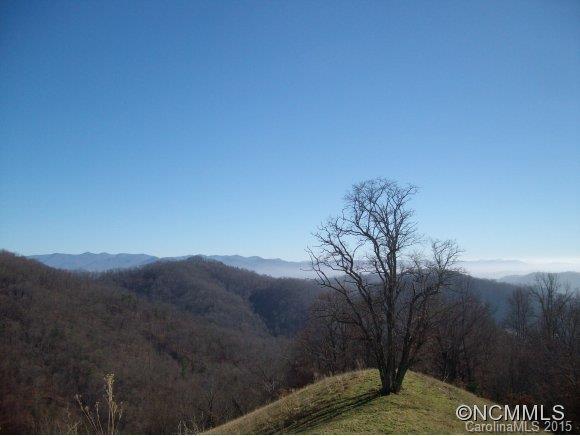 00 Flynn Branch Road - Photo 1