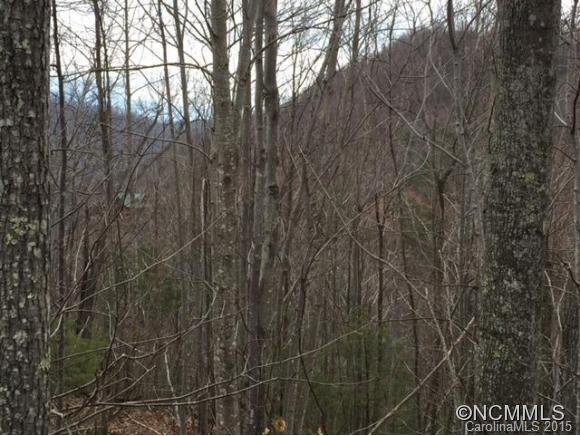 452 Feather Falls Trail - Photo 1