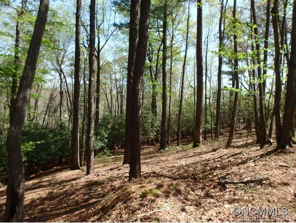 59 Misty Valley Parkway - Photo 1