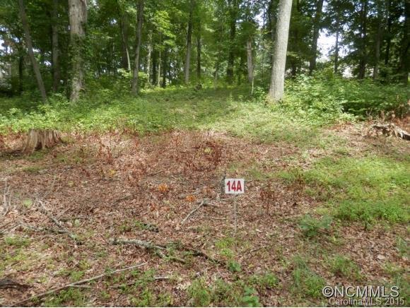 14 A Maple Grove Church Road - Photo 1
