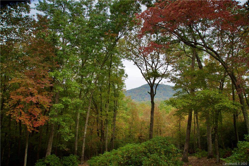 105 Misty Valley Parkway - Photo 1