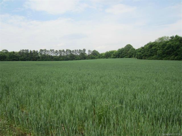 00 Pitts School Road - Photo 1