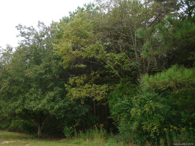 Vacant land Nc 16 Highway - Photo 1