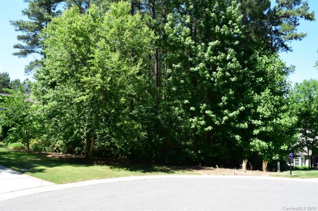 lot 462 Ash Hollow Lane - Photo 1