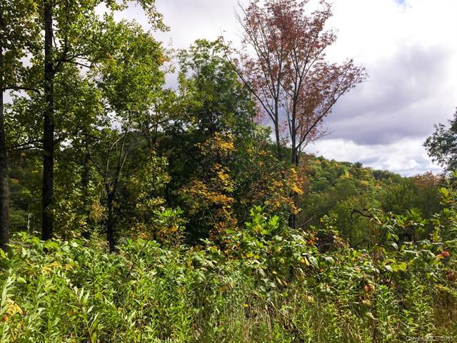 Lot 5 Falls Drive - Photo 1