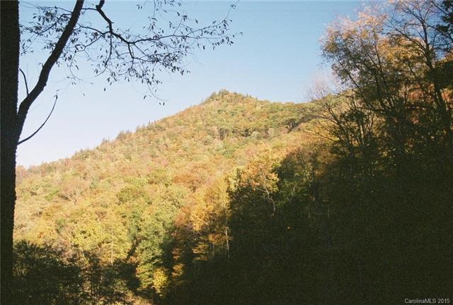 Lot 205 Chickadee Lane - Photo 1