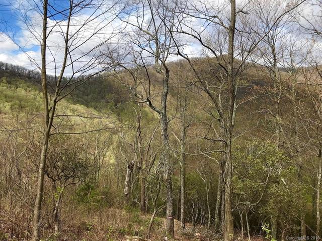 675 Blue Mist Way - Photo 1