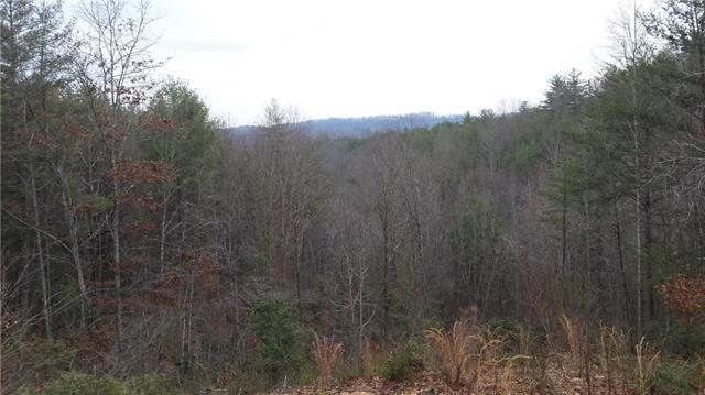Lot 8 Woods Road - Photo 1