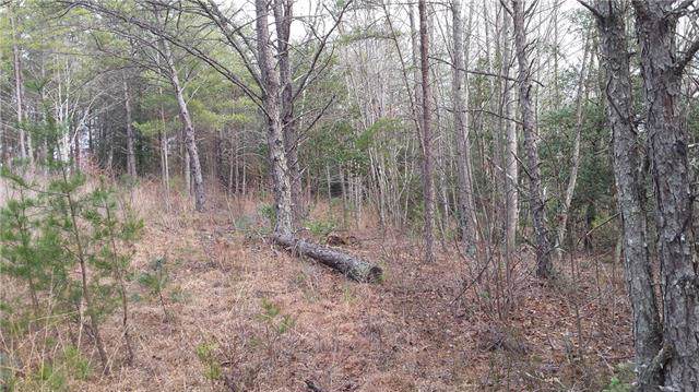 Lot 9 Woods Road - Photo 1