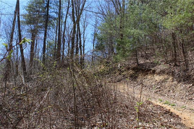 527 Lisenbee Road - Photo 1
