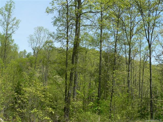 225 Red Fox Trail - Photo 1