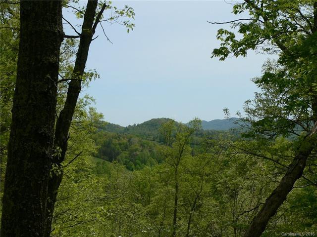 155 Turkey Trot Trail - Photo 1