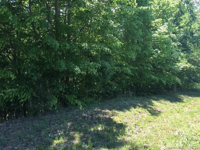 Lots 24-25 Long Cedar Lane - Photo 1
