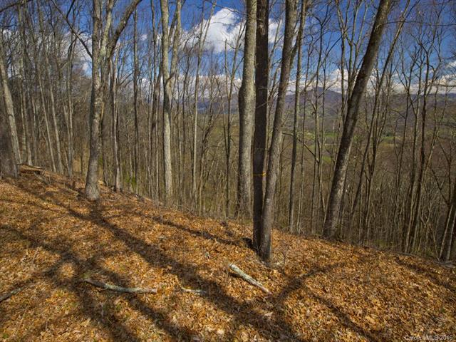 Lot #13 Signature Row Boulevard - Photo 1