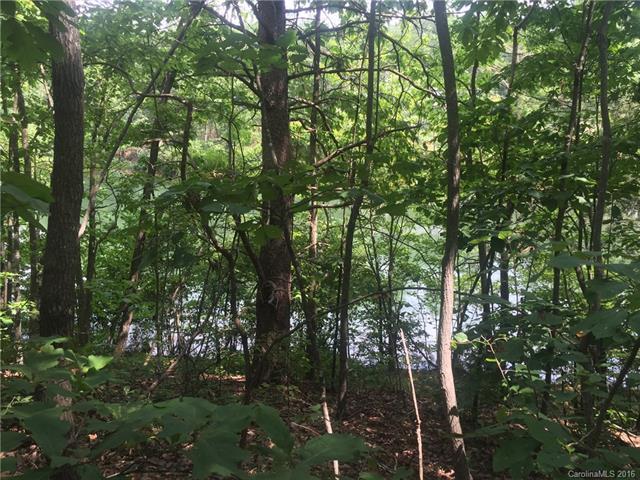 Lot 20 Quinlan Lane - Photo 1