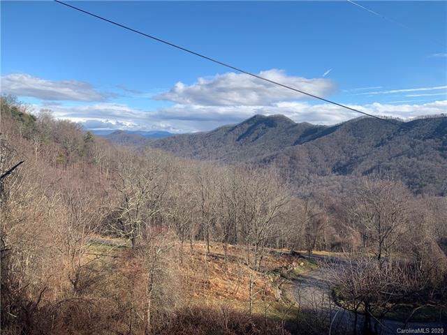 177 Bearwallow Trail - Photo 1