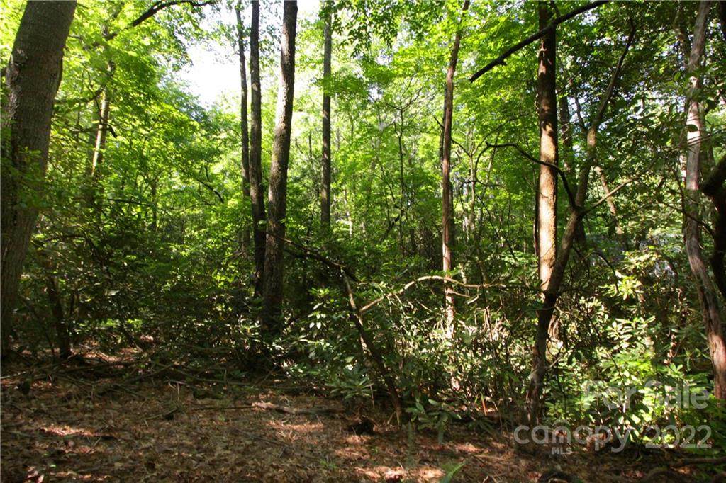 Lot 13 Laurel Ridge Road - Photo 1