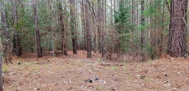 485 Stewart Rock Road - Photo 1