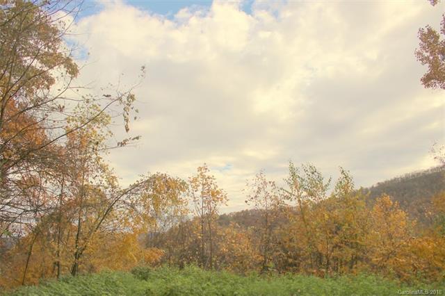 TBD White Oak Way - Photo 1