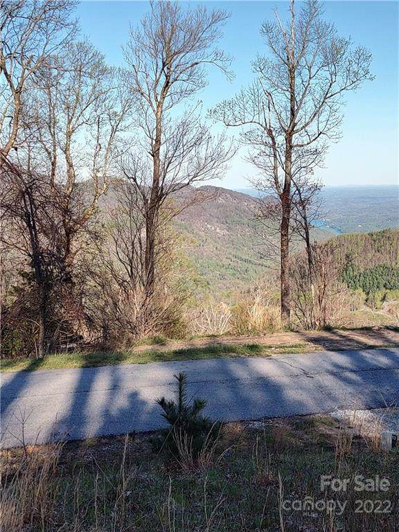 119 Lure View Lane - Photo 1