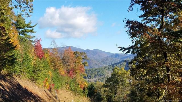 19 Old Greybeard Loop - Photo 1
