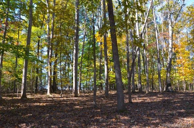 9215 Bales Lane - Photo 1