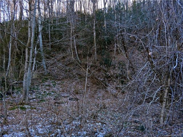 0 Cruso Road - Photo 1
