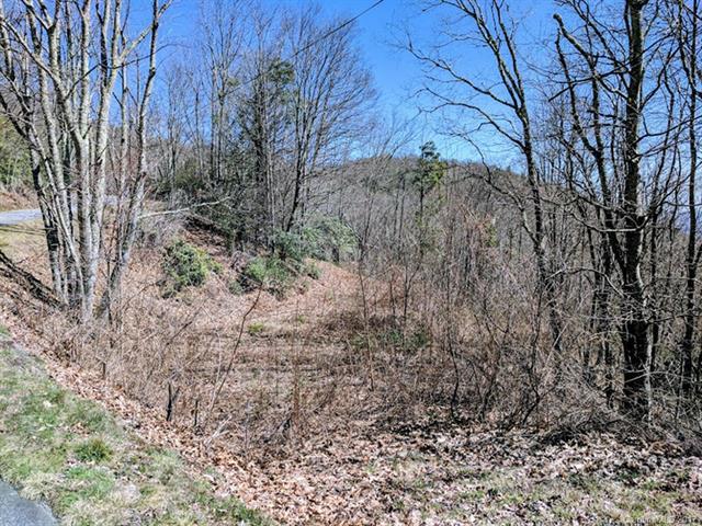 00 Leatherwood Road - Photo 1