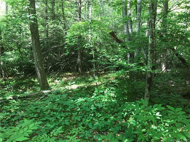 000 Woodland Trail - Photo 1