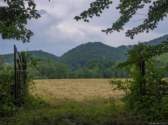 1342 Cane Creek Road - Photo 1