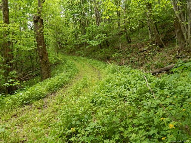 00 Ned Cove Road - Photo 1