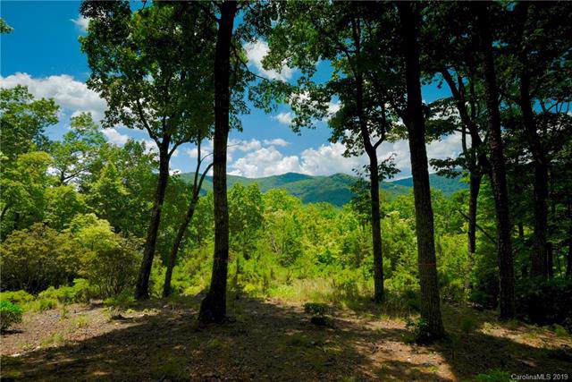 1906 Tree View Trail - Photo 1