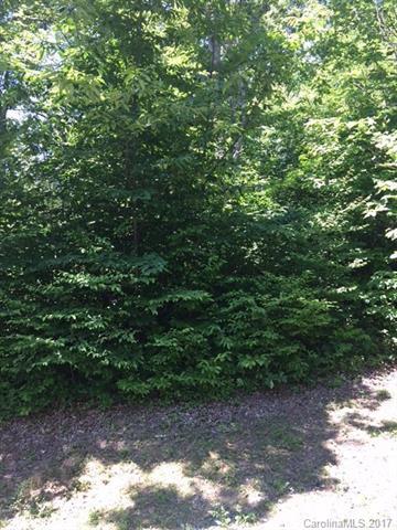 196 Saint Moritz Lane - Photo 1