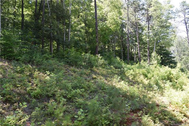 Lot 2 Leatherwood Road - Photo 1