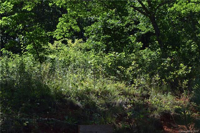 Lot 1 Leatherwood Road - Photo 1