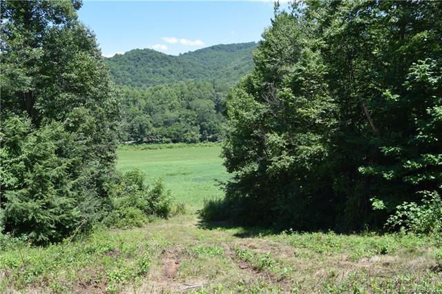 Lot 5 Leatherwood Road - Photo 1