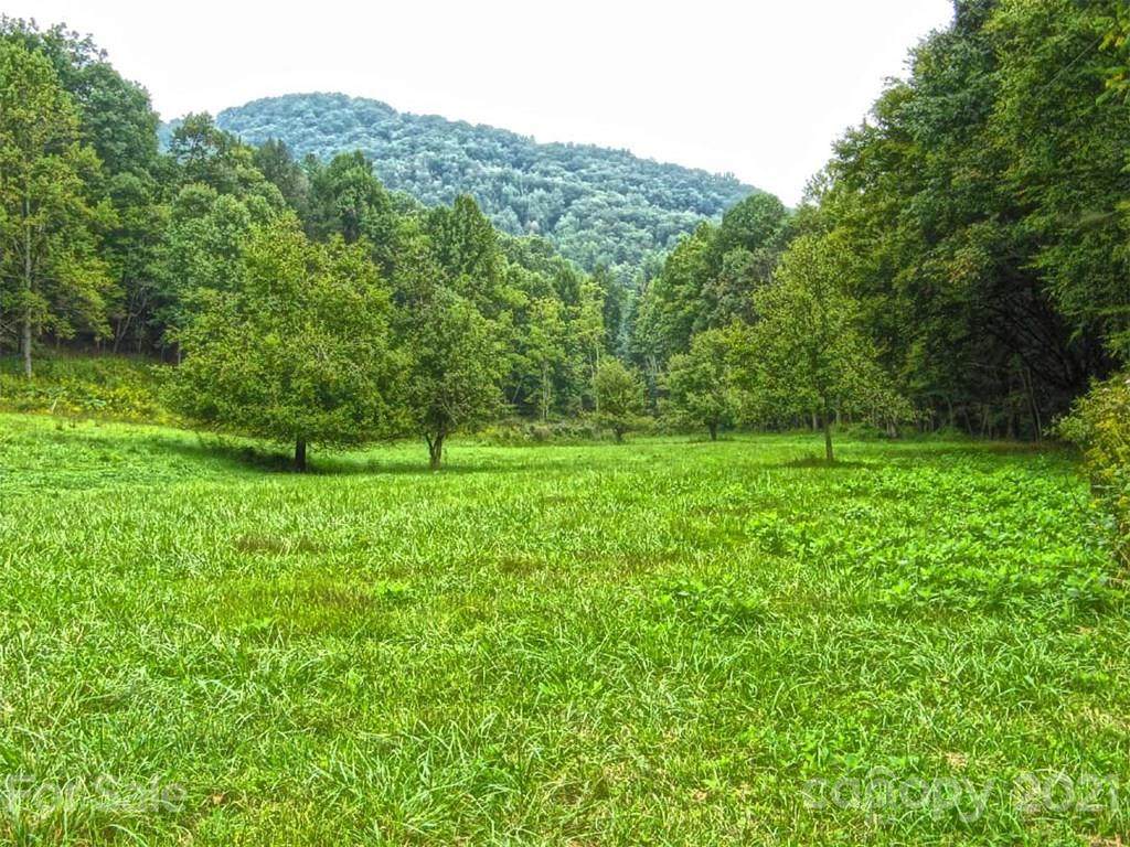 000 Indian Camp Creek Road - Photo 1
