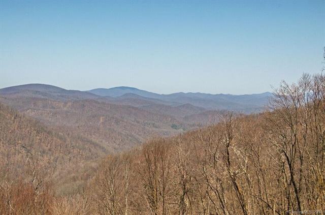 Lot 38 Black Bear Run - Photo 1