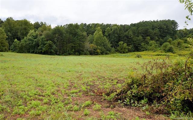 0 Horse Path Drive - Photo 1