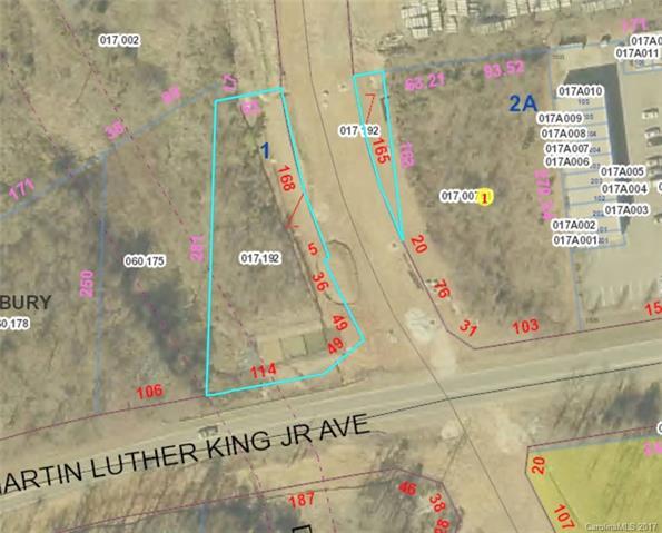 0 Martin Luther King Jr Avenue - Photo 1