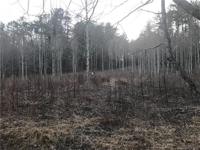 00000 Williams Road - Photo 1