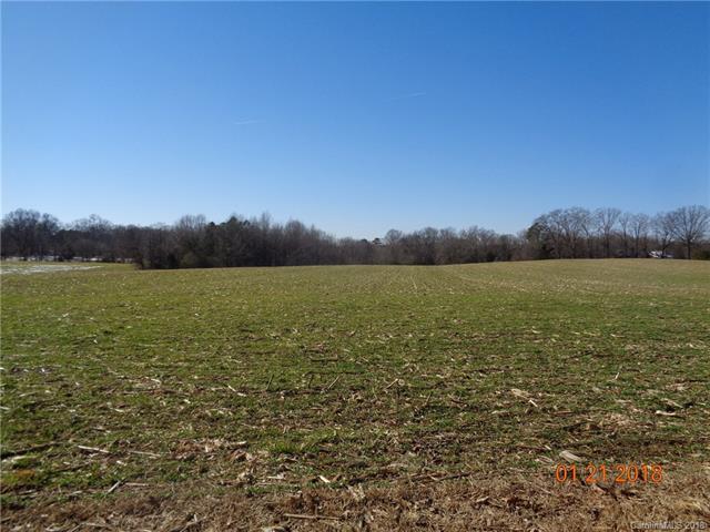 Lot 4A Zebulon Williams Road - Photo 1