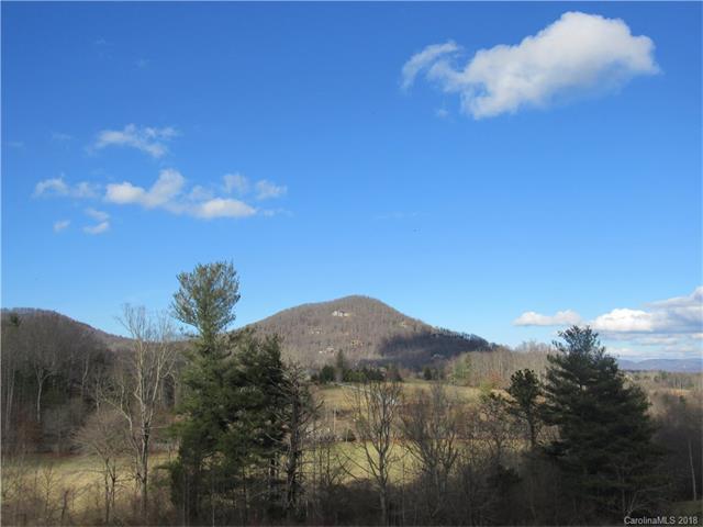 29 Bear Flower Trail - Photo 1